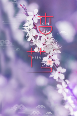 杏花海报杏花小清新唯美花卉春天海报高清图片