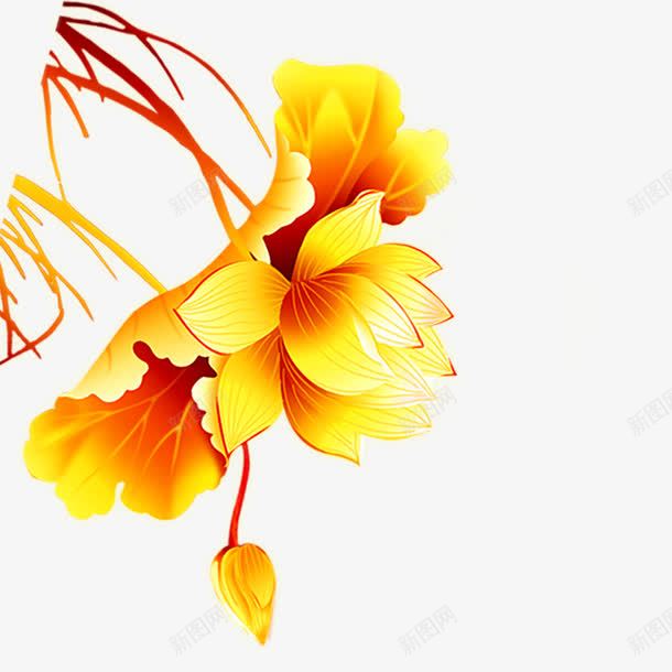 金色的花png免抠素材_88icon https://88icon.com 花 花朵 金色的花