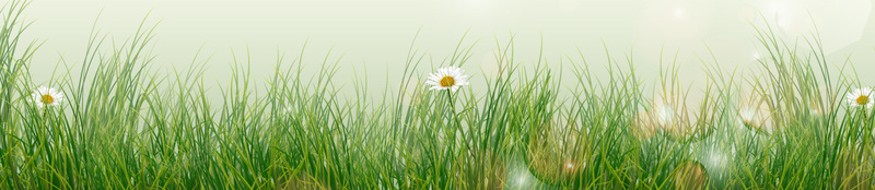 文艺清新唯美朦胧春天树叶绿色通用背景jpg设计背景_88icon https://88icon.com 唯美 文艺 朦胧春天 清新 绿色