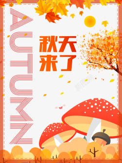 秋天来了秋天秋季秋天来了边框落叶蘑菇高清图片