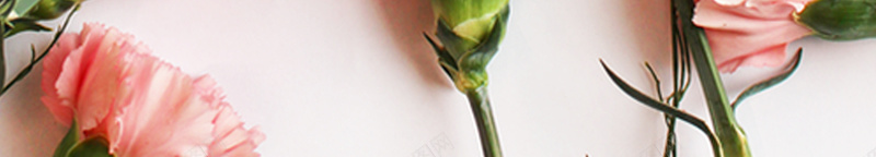 514感恩母亲节表达爱意海报背景psd设计背景_88icon https://88icon.com 感恩母亲节 514 母亲节 感恩 海报 表达爱意海报爱意 表达 爱意