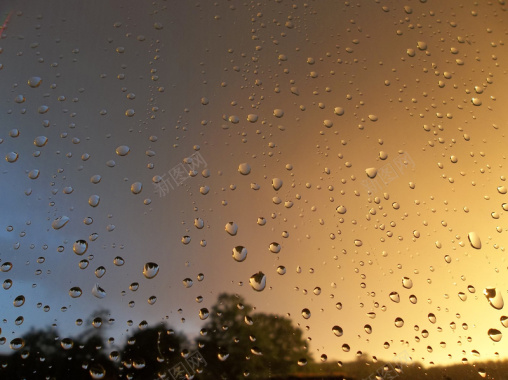 水珠树影暗色海报背景素材背景