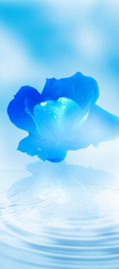 蓝色花朵化妆品海报背景背景