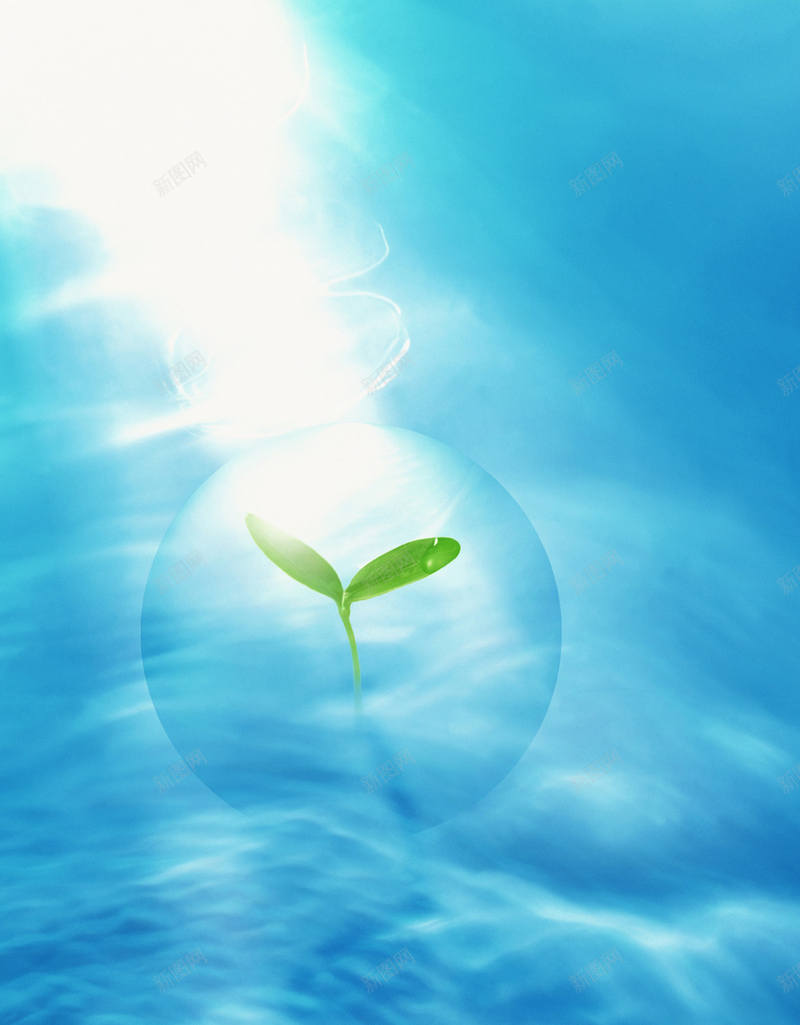 蓝底渐变小树苗H5背景素材jpg设计背景_88icon https://88icon.com 小树苗 生命力 发光 渐变 蓝底 H5 树苗背景 渐变素材 渐变背景