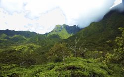 夏威夷群岛夏威夷群岛七高清图片