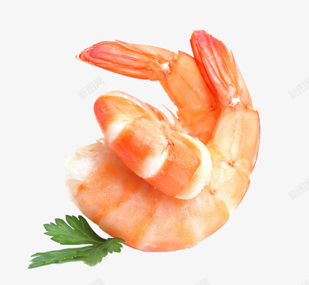 熟虾鲜美美味png免抠素材_88icon https://88icon.com 新鲜的虾 熟虾 虾 鲜美的虾