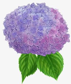 手绘紫色球花背景素材