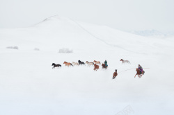 马PNG图冬天雪地上的骏马图高清图片