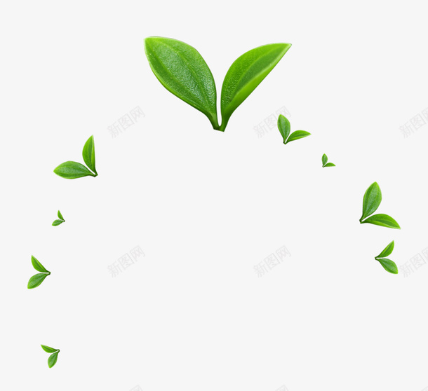 春天发芽绿叶清新png免抠素材_88icon https://88icon.com 卡通手绘 发芽 春天相关 清新PNG 绿叶 绿芽