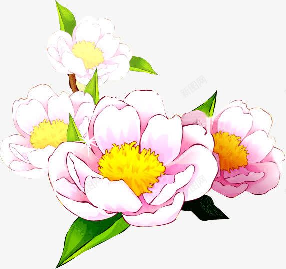 淡粉色的花png免抠素材_88icon https://88icon.com 淡粉色 美丽 花