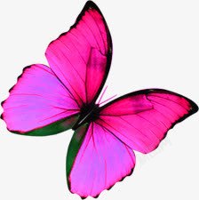 粉色光效春天蝴蝶素材