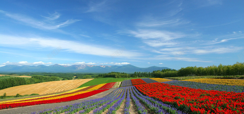 日本风光背景