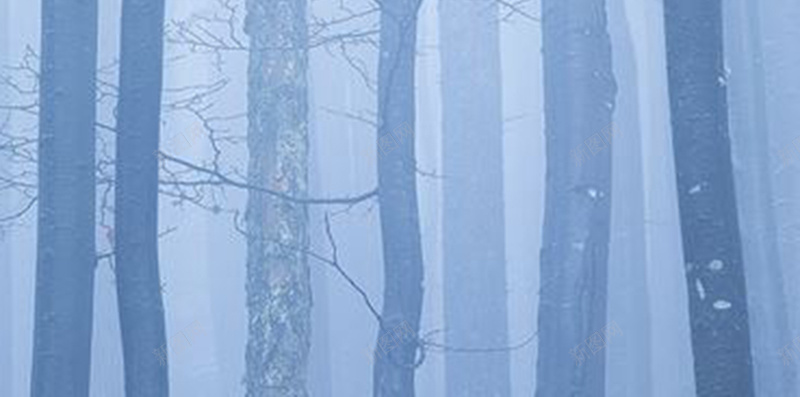 空灵迷雾森林H5背景图jpg设计背景_88icon https://88icon.com 森林 淡蓝 空灵 薄雾 迷雾 树林 H5 背景图