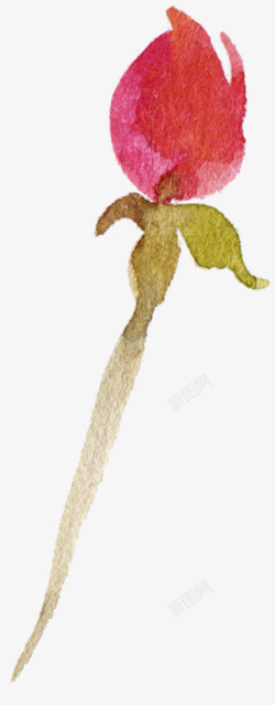 手绘水彩花环花卉5素材