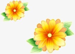 黄色小雏菊花朵素材