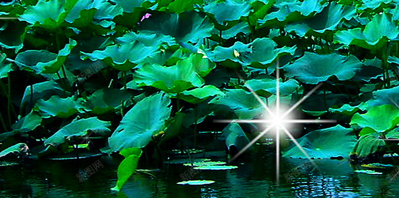 夜晚荷花月光树影背景psd设计背景_88icon https://88icon.com H5 h5 夜晚 树影 梦幻 浪漫 荷叶 荷花月亮