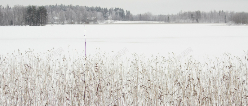 枯草雪景背景jpg设计背景_88icon https://88icon.com 山林 冬季 海报banner 摄影 风景 枯草雪景背景 湖泊雪景