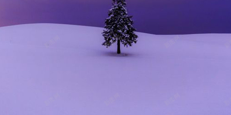 雪中毅力的树jpg设计背景_88icon https://88icon.com 雪 树 蓝色 摄影 风景