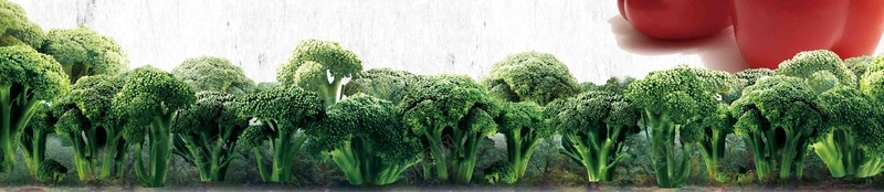 健康食材海报背景模板psd设计背景_88icon https://88icon.com 健康食材 有机蔬菜 背景素材 健康 海报 放心 宣传 展板