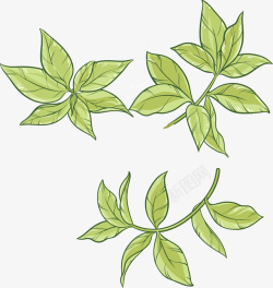 茶素材手绘树叶茶叶矢量图高清图片