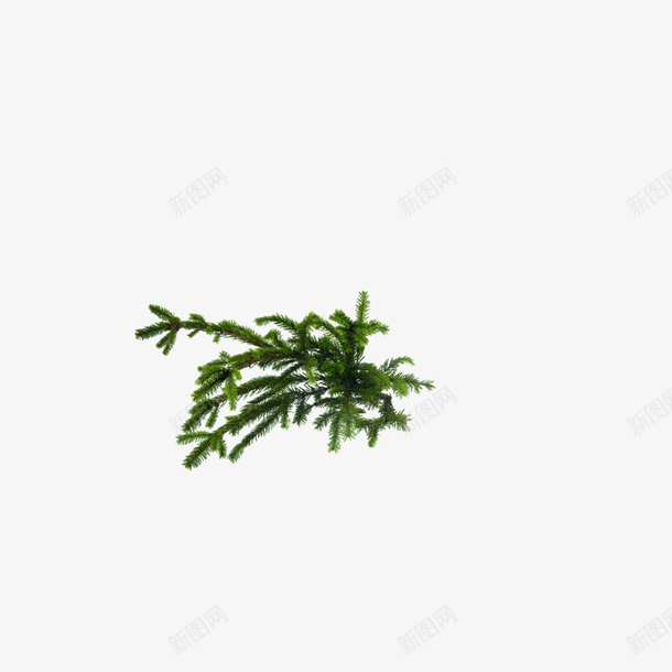 绿植苔藓素材png免抠素材_88icon https://88icon.com 免扣 苔藓 绿植 植物