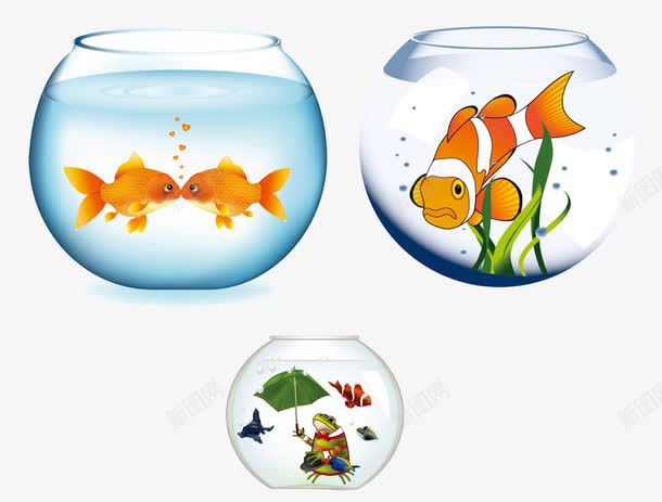 卡通手绘三个可爱鱼缸png免抠素材_88icon https://88icon.com 卡通手绘 可爱 水草 青蛙 鱼 鱼缸