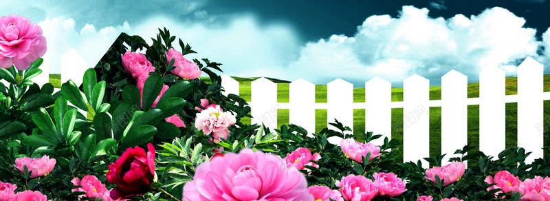 浪漫花圃背景jpg设计背景_88icon https://88icon.com 花卉 花圃 横幅背景 天猫淘宝banner背景 海报banner 全屏banner背景 摄影 风景