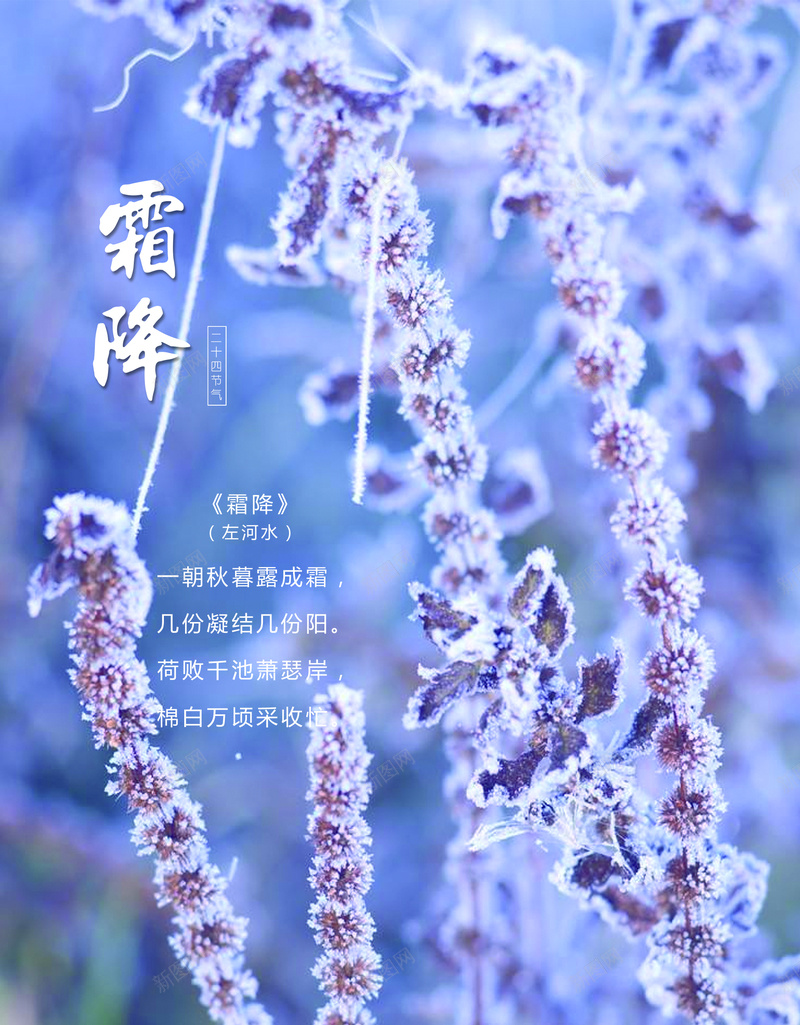 霜降传统节气素材psd设计背景_88icon https://88icon.com 霜降 节气 传统节气 秋 秋天 秋季 古诗 诗