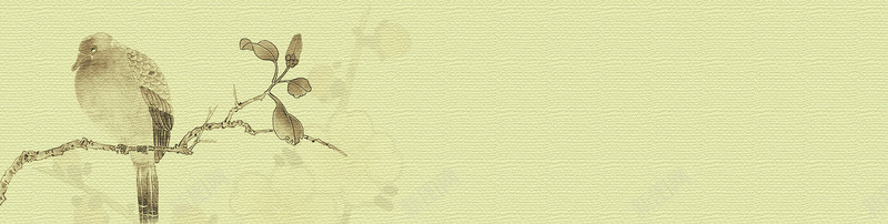 中国风工笔画优雅bannerjpg设计背景_88icon https://88icon.com 中国风 工笔画 优雅 树 鸟 海报banner
