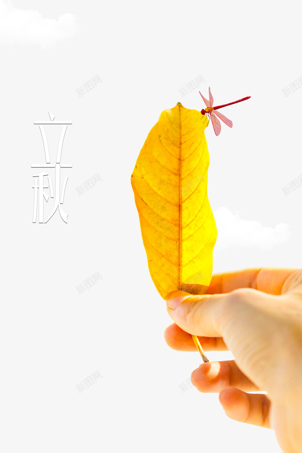 秋天立秋蜻蜓树叶手psd免抠素材_88icon https://88icon.com 手 树叶 秋天 立秋 蜻蜓