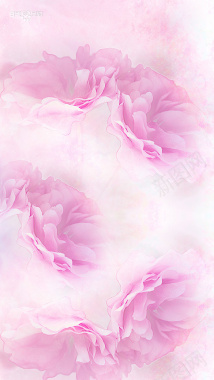 粉红花卉H5背景背景