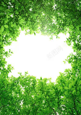 绿化森林宣传海报背景背景