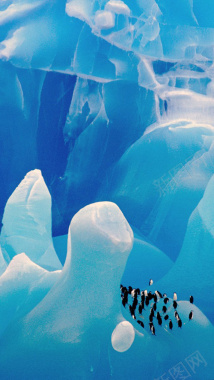 蓝色北极洲企鹅手机端H5背景背景