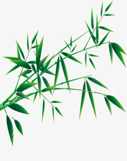 竹子线条绿色有线条的竹叶高清图片