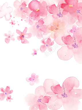 粉色手绘花朵背景背景