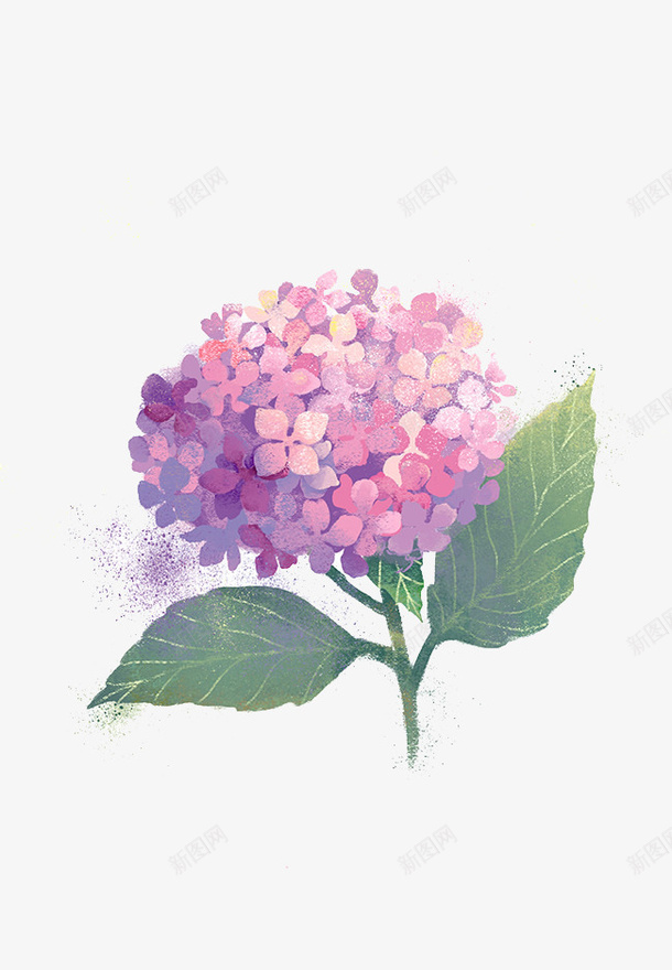 手绘鲜花花卉png免抠素材_88icon https://88icon.com 卡通 手绘 手绘插画 插画素材 水彩 鲜花