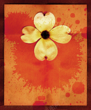 立体花瓣花朵橙色背景素材背景