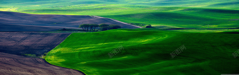 绿色山坡土地乡间小路jpg设计背景_88icon https://88icon.com 绿色 山坡 土地 乡间 小路 海报banner 摄影 风景