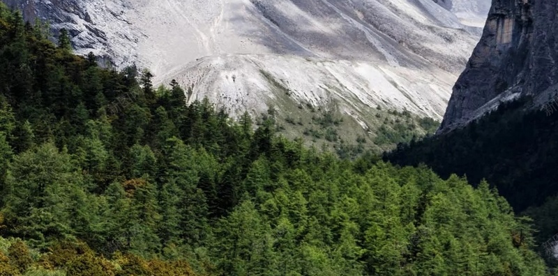 白色雪山风景摄影H5背景jpg设计背景_88icon https://88icon.com 白色 雪山 风景 摄影 天空 H5背景 树林 北方