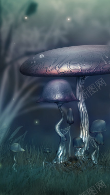 蘑菇H5背景背景
