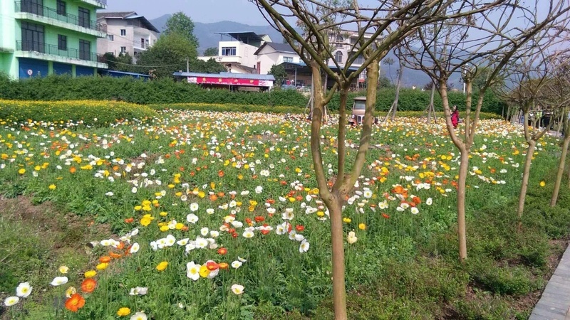 人间四月芳菲尽山寺桃花始盛开jpg设计背景_88icon https://88icon.com 旅游 清明 风景 鲜花