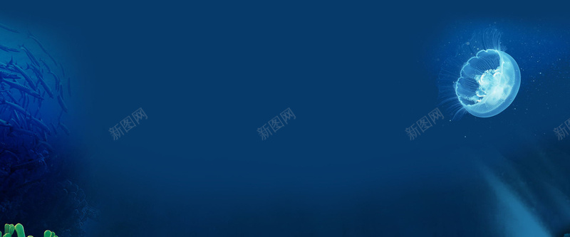 简约大气海底世界水母广告banner背景