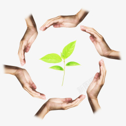 手形小树苗素材