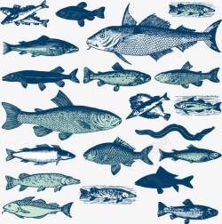 手绘风格海洋鱼类素材