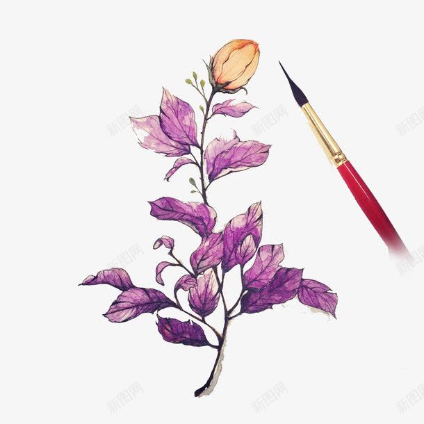 手绘花朵png免抠素材_88icon https://88icon.com 手绘画 笔 紫色的叶子 花