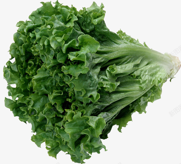 生菜蔬菜绿色蔬菜png免抠素材_88icon https://88icon.com 农产品 生菜 绿色蔬菜 蔬菜 青菜