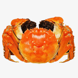 水产海鲜菜红色大螃蟹公蟹高清图片