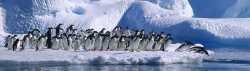 南极的寒冷摄影背景高清图片