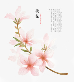桃花枝手绘花朵古风元素素材