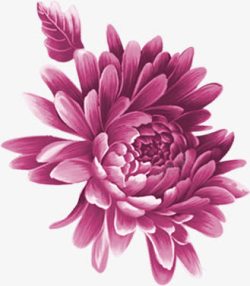 手绘水彩紫色的花卉植物素材